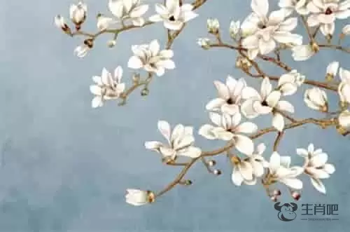 属牛的和什么属相最合财财越旺，属牛的和什么属相最配与哪个生肖相克插图