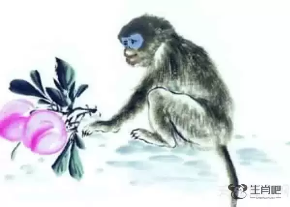 生肖猴和什么生肖最合财，生肖猴和什么生肖配对好生肖猴的属相婚配表插图1