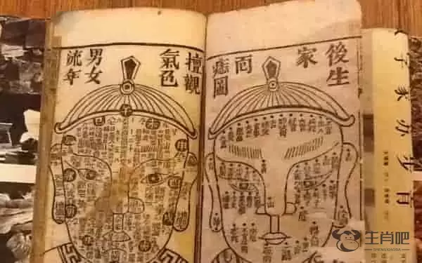 2021年出生是什么命五行属什么属性，2021年出生是什么生肖属牛插图1