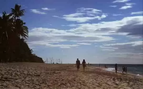 属龙和马的人在一起搭配吗需要把握好两个人在一起的度插图1