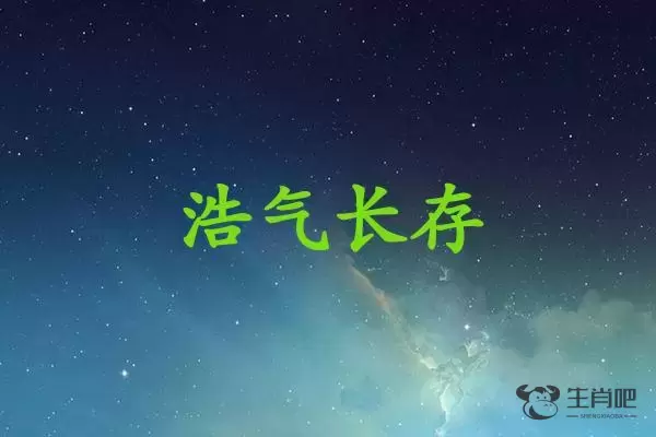 浩气长存是什么生肖插图