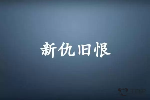 新仇旧恨是什么生肖插图