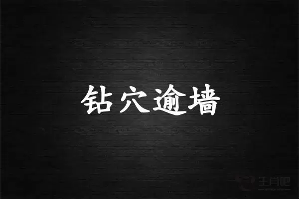 钻穴逾墙是什么生肖插图