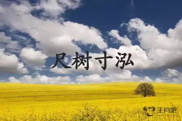 尺树寸泓是什么生肖插图