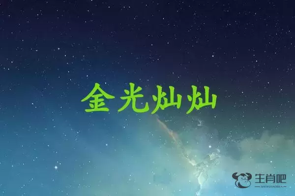 金光灿灿是什么生肖插图