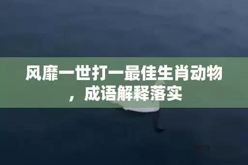 风靡一世打一最佳生肖动物，成语解释落实插图