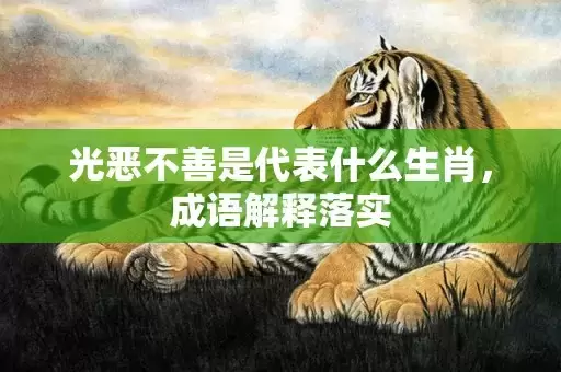 光恶不善是代表什么生肖，成语解释落实插图