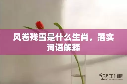 风卷残雪是什么生肖，落实词语解释插图