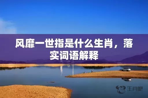 风靡一世指是什么生肖，落实词语解释插图