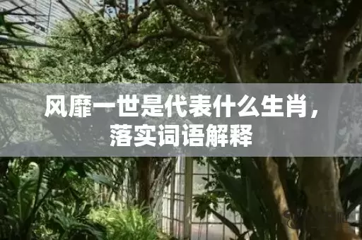 风靡一世是代表什么生肖，落实词语解释插图