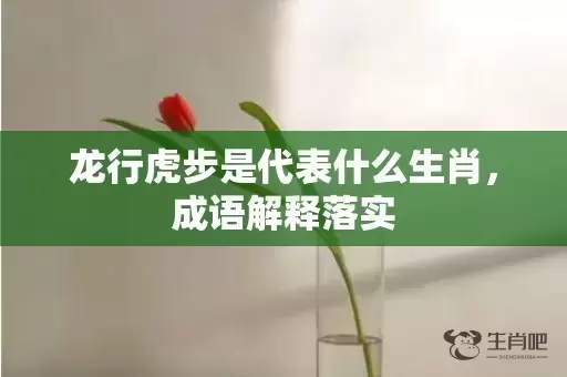 龙行虎步是代表什么生肖，成语解释落实插图