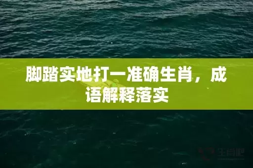 脚踏实地打一准确生肖，成语解释落实插图