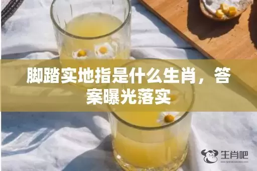 脚踏实地指是什么生肖，答案曝光落实插图