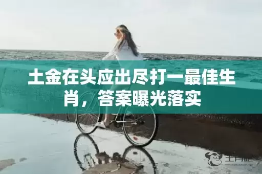 土金在头应出尽打一最佳生肖，答案曝光落实插图