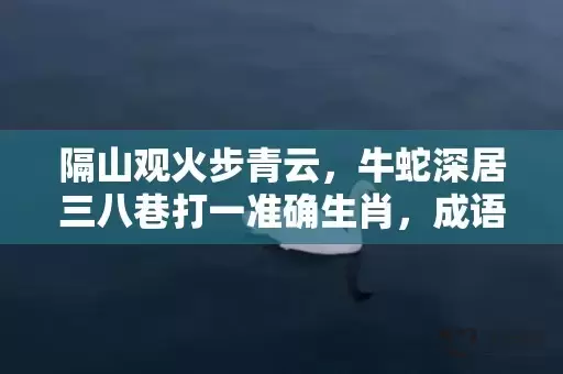 隔山观火步青云，牛蛇深居三八巷打一准确生肖，成语解释落实插图