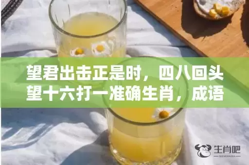 望君出击正是时，四八回头望十六打一准确生肖，成语解释落实插图