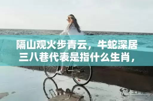 隔山观火步青云，牛蛇深居三八巷代表是指什么生肖，成语解释落实插图