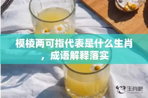 模棱两可指代表是什么生肖，成语解释落实插图
