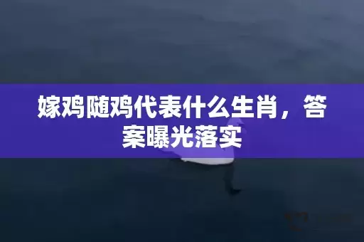 嫁鸡随鸡代表什么生肖，答案曝光落实插图