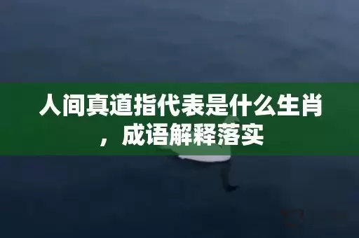 人间真道指代表是什么生肖，成语解释落实插图