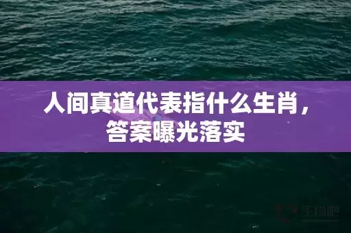 人间真道代表指什么生肖，答案曝光落实插图