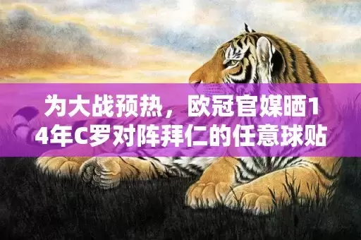 为大战预热，欧冠官媒晒14年C罗对阵拜仁的任意球贴地斩插图