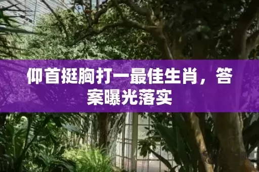 仰首挺胸打一最佳生肖，答案曝光落实插图