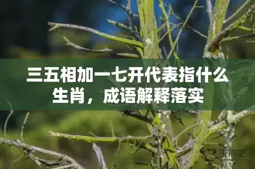 三五相加一七开代表指什么生肖，成语解释落实插图