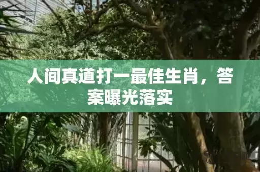 人间真道打一最佳生肖，答案曝光落实插图