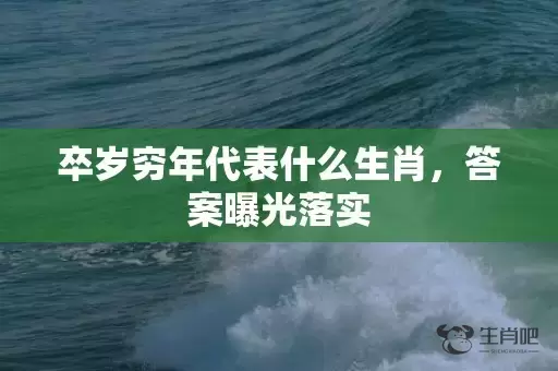 卒岁穷年代表什么生肖，答案曝光落实插图