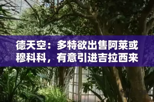 德天空：多特欲出售阿莱或穆科科，有意引进吉拉西来补强锋线插图