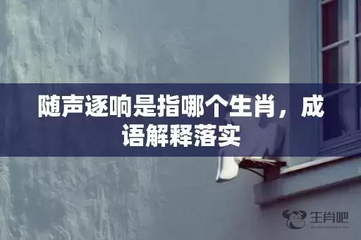 随声逐响是指哪个生肖，成语解释落实插图