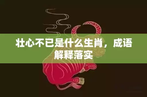 壮心不已是什么生肖，成语解释落实插图