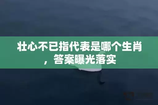 壮心不已指代表是哪个生肖，答案曝光落实插图