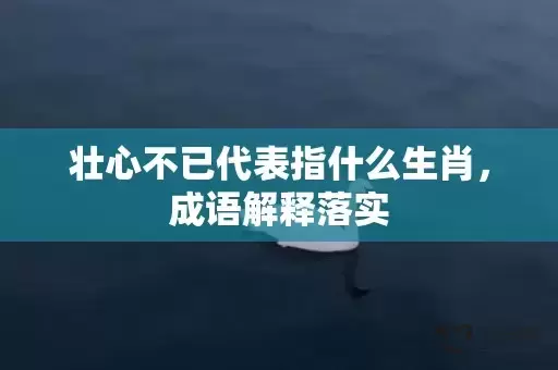 壮心不已代表指什么生肖，成语解释落实插图