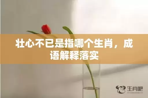 壮心不已是指哪个生肖，成语解释落实插图