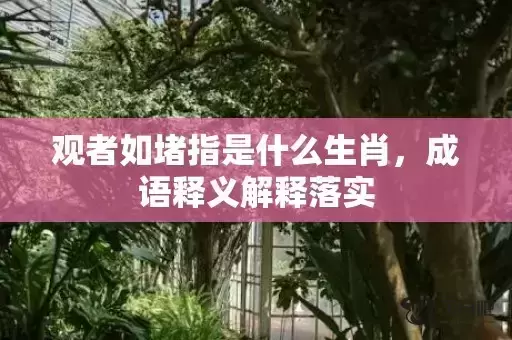 观者如堵指是什么生肖，成语释义解释落实插图