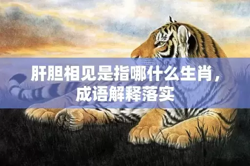 肝胆相见是指哪什么生肖,成语解释落实插图 肝胆相见是指哪什么生肖,成语解释落实插图