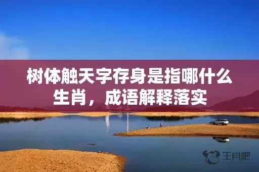 树体触天字存身是指哪什么生肖，成语解释落实插图