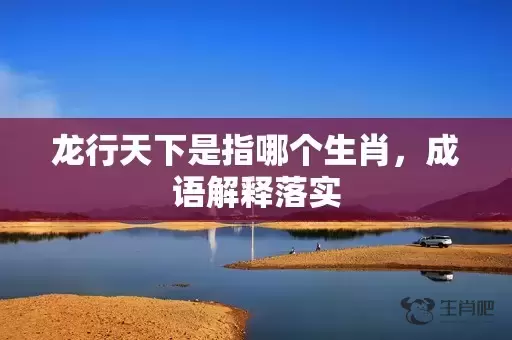 龙行天下是指哪个生肖，成语解释落实插图