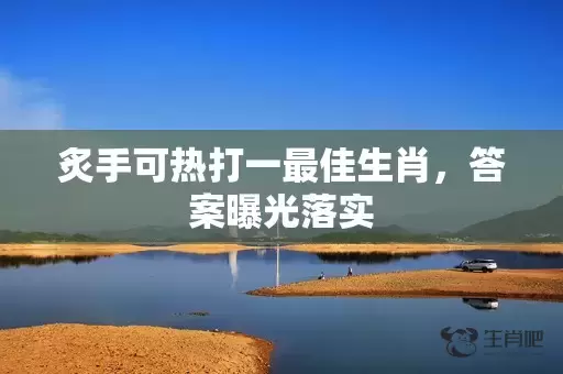炙手可热打一最佳生肖，答案曝光落实插图