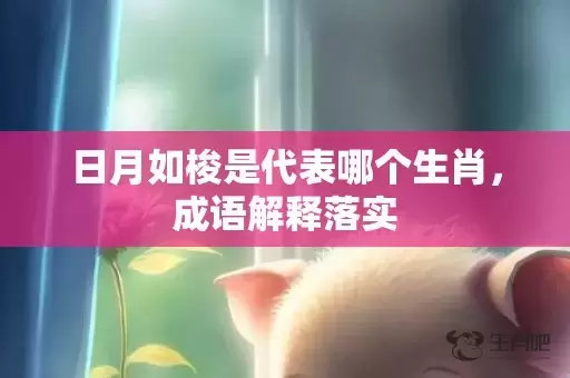 日月如梭是代表哪个生肖，成语解释落实插图