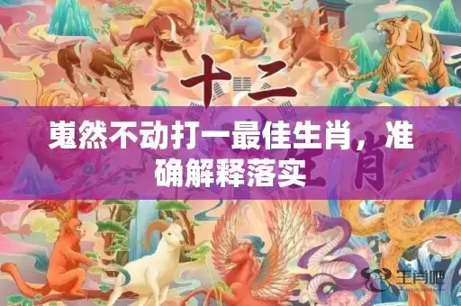 嵬然不动打一最佳生肖，准确解释落实插图