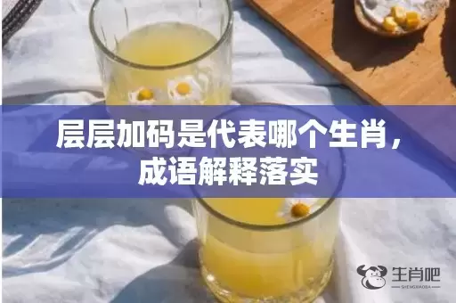 层层加码是代表哪个生肖，成语解释落实插图