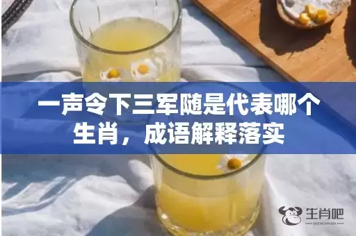 一声令下三军随是代表哪个生肖，成语解释落实插图