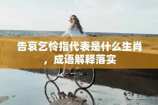 告哀乞怜指代表是什么生肖，成语解释落实插图