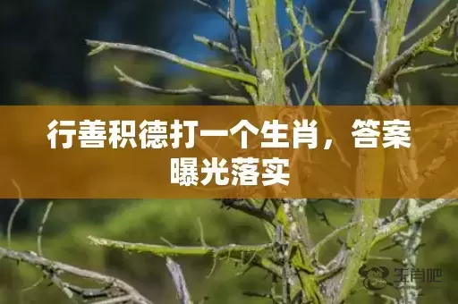 行善积德打一个生肖，答案曝光落实插图