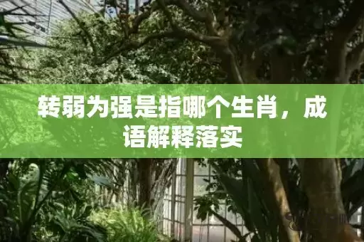 转弱为强是指哪个生肖，成语解释落实插图