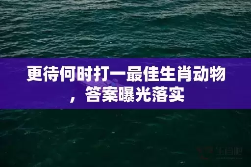 更待何时打一最佳生肖动物，答案曝光落实插图