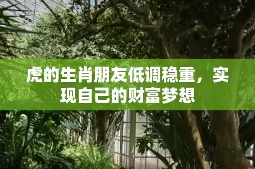 虎的生肖朋友低调稳重，实现自己的财富梦想插图